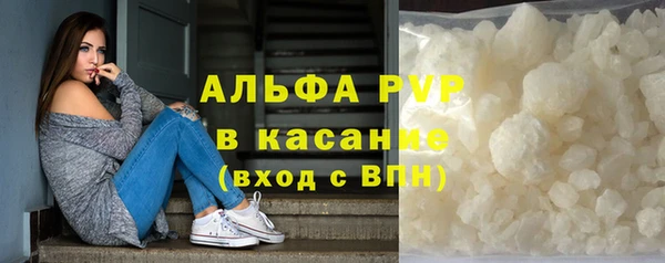 стафф Богданович