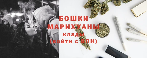 мдпв Богородск