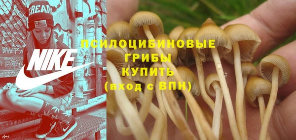 эйфоретик Снежногорск