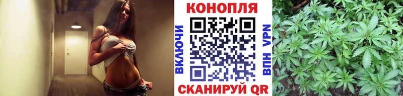 Бошки марихуана планчик  магазин продажи наркотиков  Жуков 